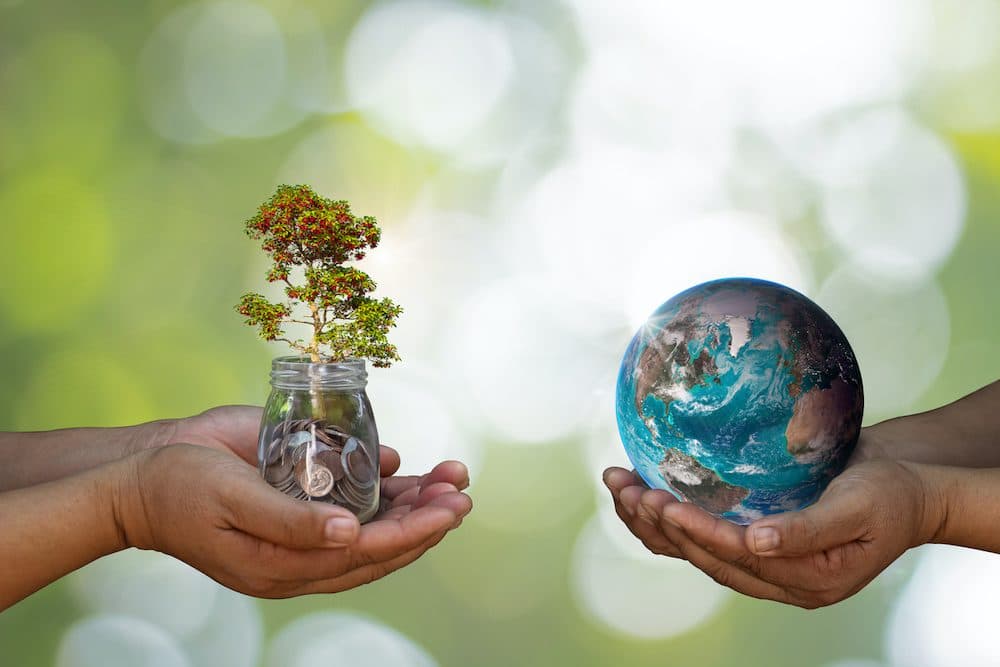 World environment day at with tree planting and green earth on everyone with hands bokeh green Background. Forest conservation concept.